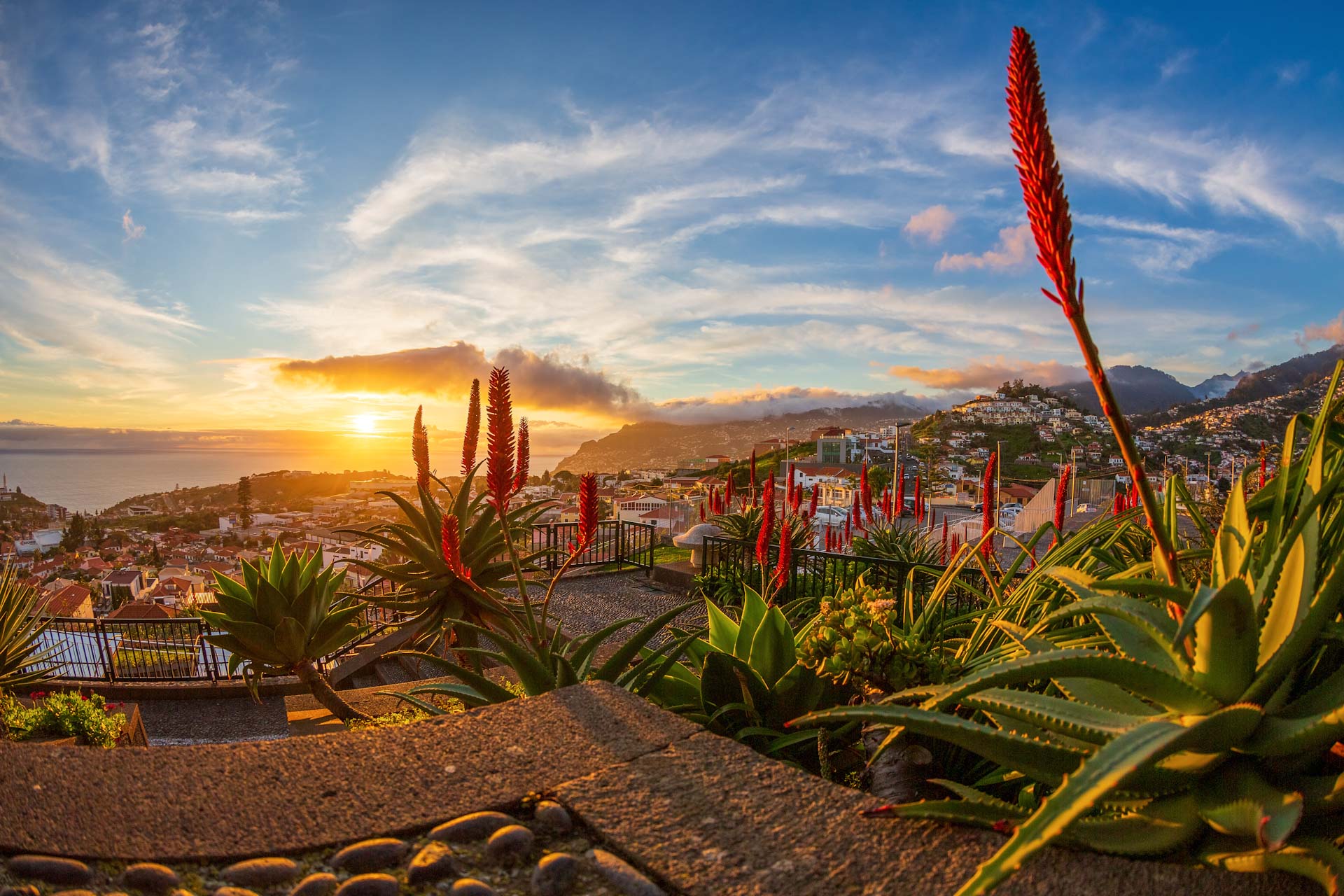Madeira Reise ab Kassel Calden: Bequem und stressfrei
