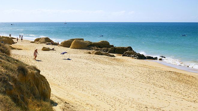Praia-gale