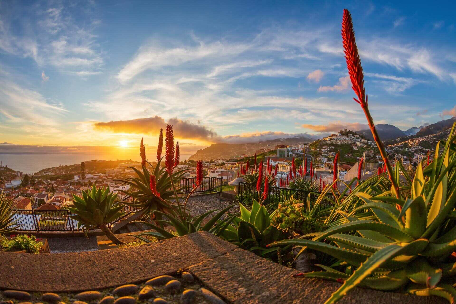 Insel Madeira