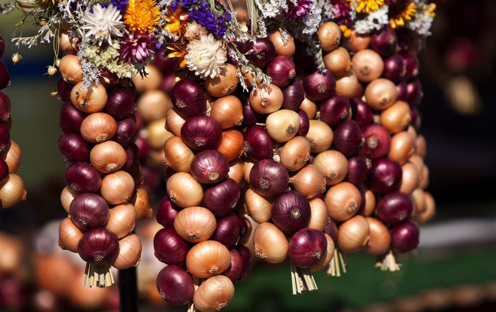 Zwiebelmarkt in Weimar, Deutschland