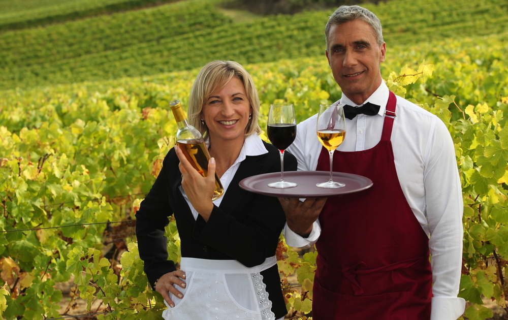 Weinprobe im Weinberg