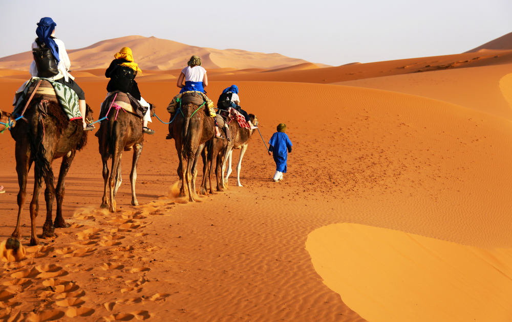Kamelkarawane in der Sahara, Marokko