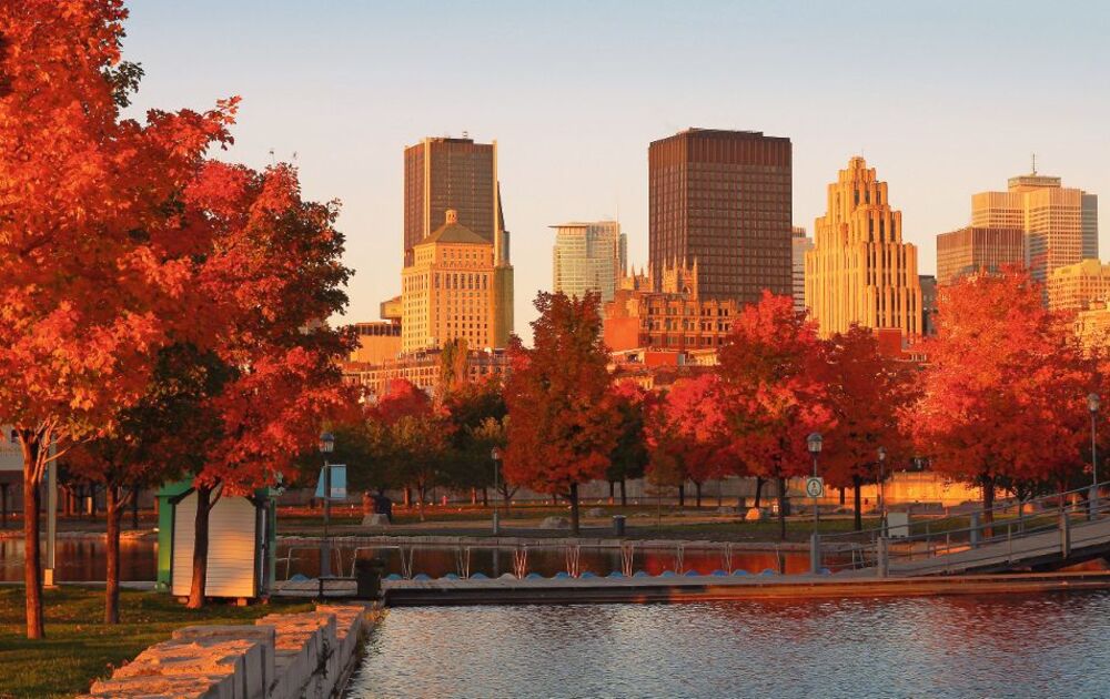 Montreal city