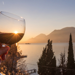 Weingenuss am Gardasee