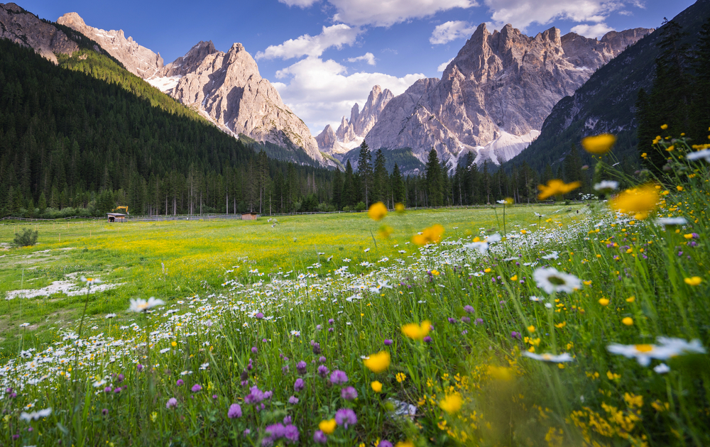 Wandern im Fischleintal in Südtirol mit Blick auf die Berge