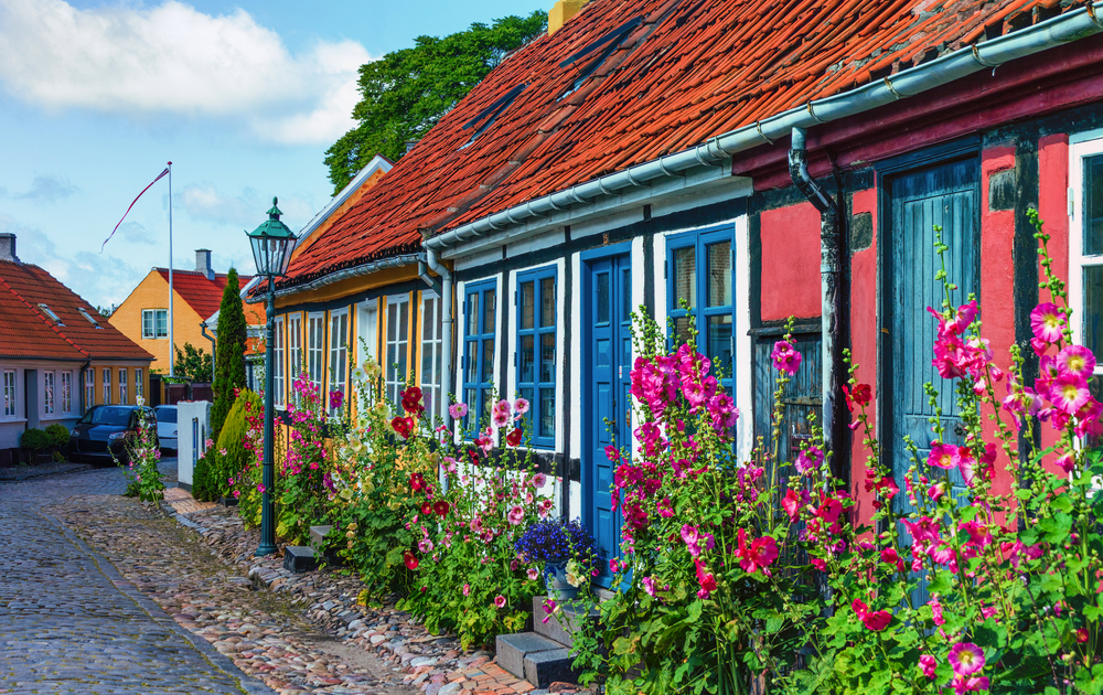 Straßen der Stadt Rönne auf der dänischen Insel Bornholm sind von bunten Stockrosenblüten gesäumt