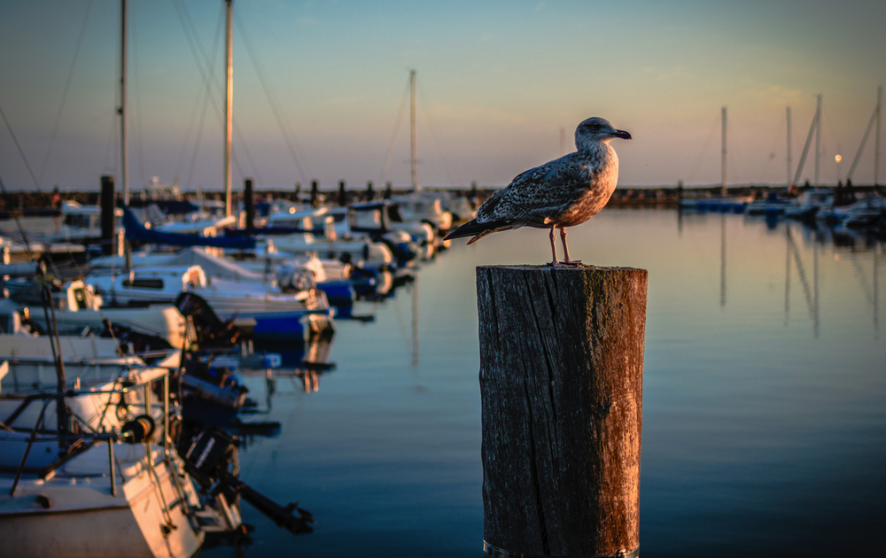 Herbstgefühle in Kühlungsborn, Deutschland