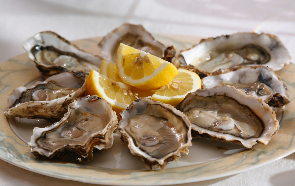 Austern