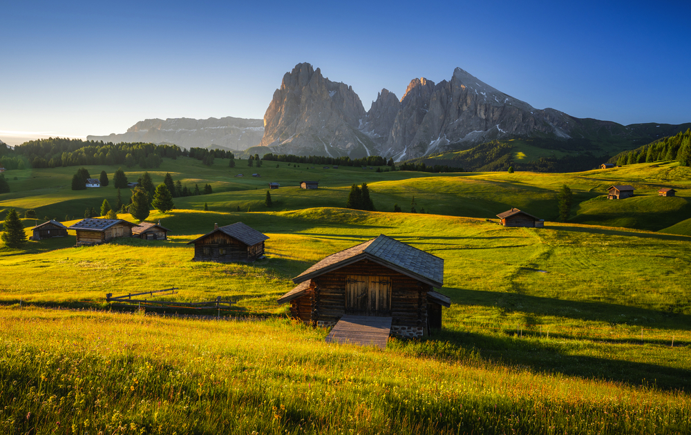 Seiser Alm mit Langkofel bei Sonnenaufgang im Sommer, Italien
