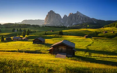 Seiser Alm mit Langkofel bei Sonnenaufgang im Sommer, Italien