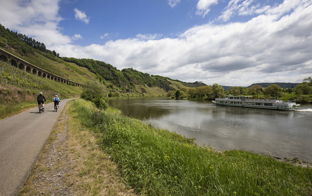 Radfahrer an der Mosel zwischen Reil und Zell