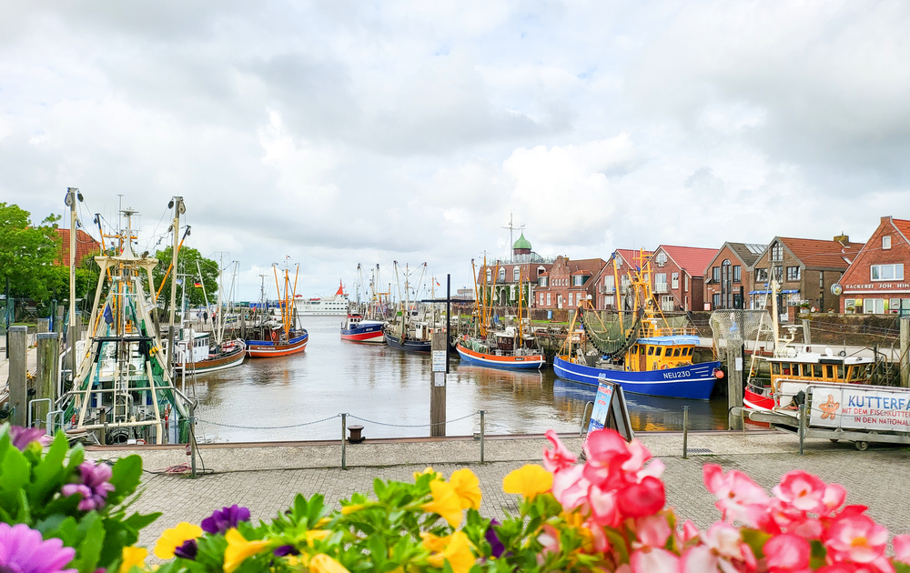 Hafen in Norddeich