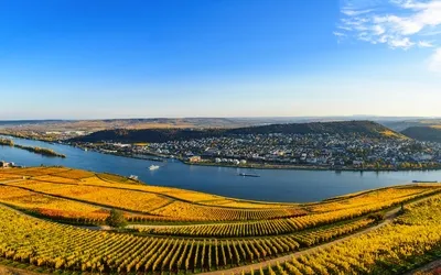 Rüdesheim am Rhein im Herbst