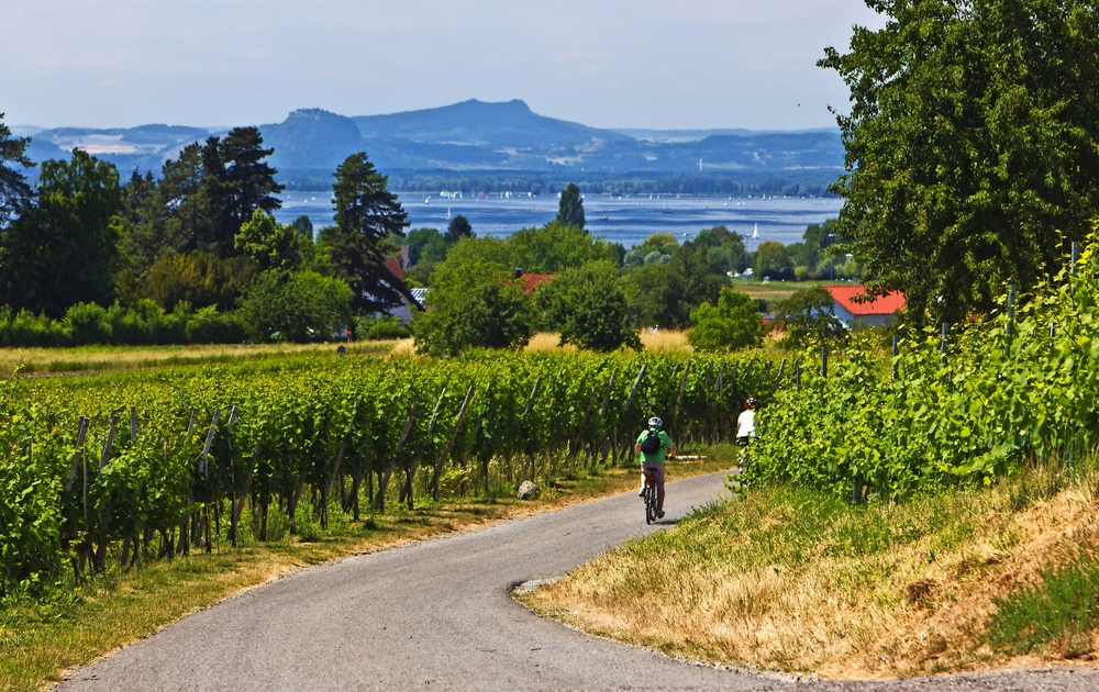 Insel Reichenau - Radferien am Bodensee