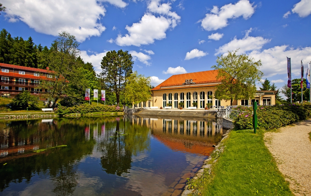 Bad Brambacher Festhalle