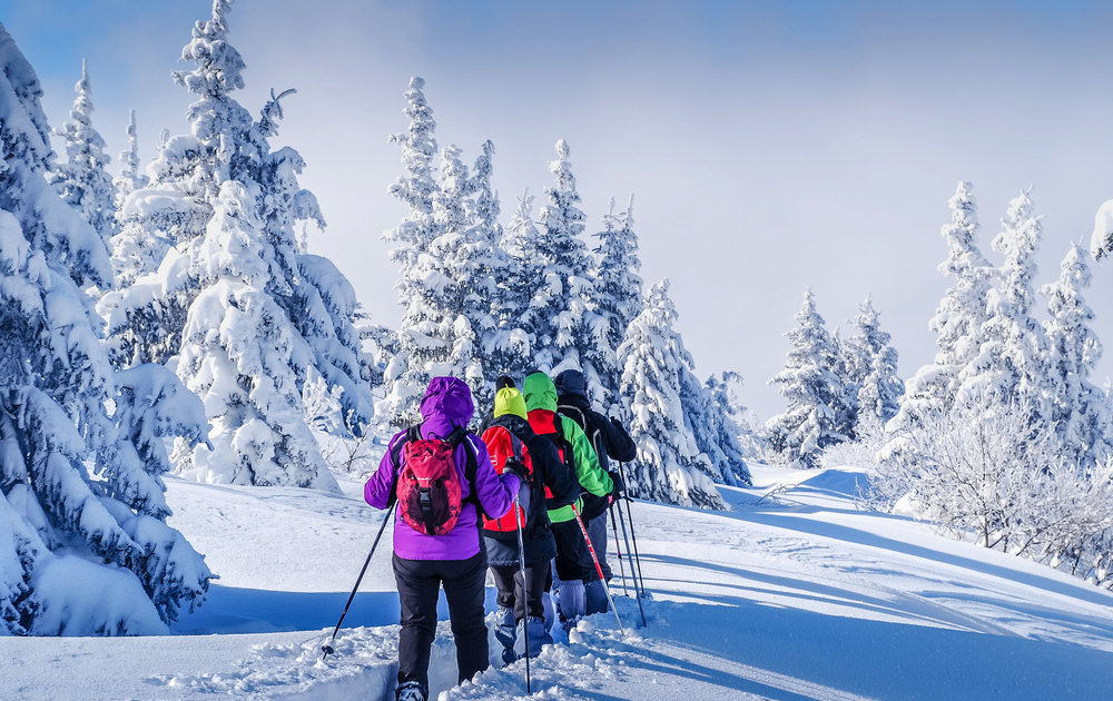 Schneelandschaft und Schneeschuhwanderung