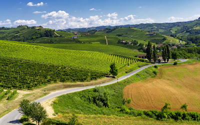 Landschaft mit Weingütern und kurviger Straße unter blauem Himmel.