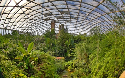 Panoramaansicht des Gondwanalands mit üppiger Vegetation und Baumriesen im Zoo Leipzig