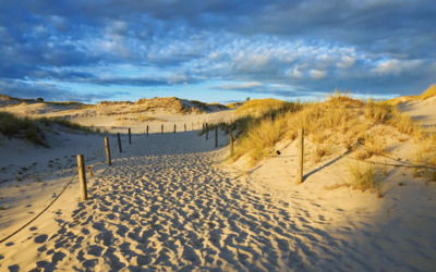 Weg durch Sanddünen am Strand unter einem blauen Himmel mit vereinzelten Wolken.