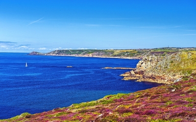 Küstenlandschaft mit blauem Meer, Felsen und Heidekraut im Vordergrund.
