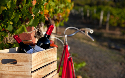 Weinkiste mit zwei Weinflaschen vor einem Fahrrad in einem Weinberg.