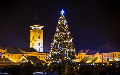 Beleuchteter Weihnachtsbaum auf einem Marktplatz bei Nacht.