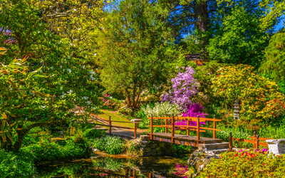 Japanischer Garten mit Brücke und blühenden Bäumen im Frühling.